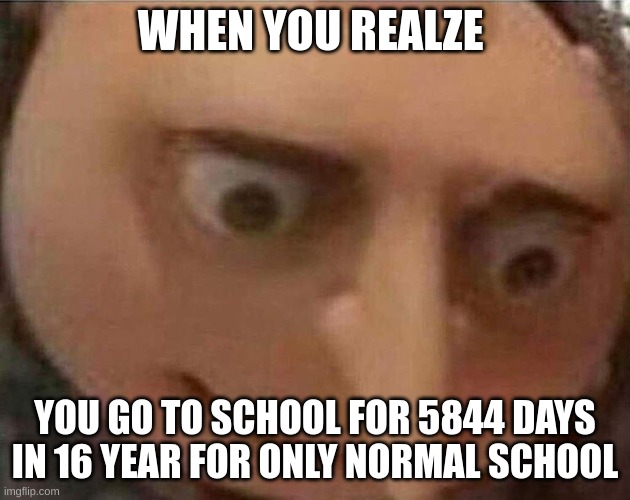 my life crisis | WHEN YOU REALZE; YOU GO TO SCHOOL FOR 5844 DAYS IN 16 YEAR FOR ONLY NORMAL SCHOOL | image tagged in gru meme | made w/ Imgflip meme maker