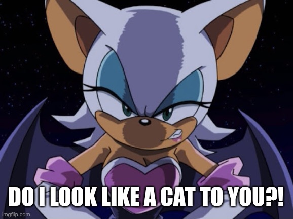 Angry Rouge | DO I LOOK LIKE A CAT TO YOU?! | image tagged in angry rouge | made w/ Imgflip meme maker