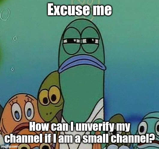 How can I unverify my channel? | Excuse me; How can I unverify my channel if I am a small channel? | image tagged in hmm,youtube,memes,hmmm,funny,memenade | made w/ Imgflip meme maker