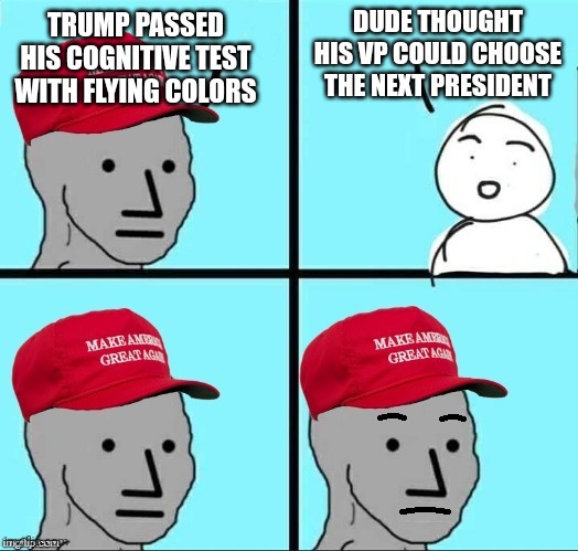 Person woman man camera tv,my VP selects me | DUDE THOUGHT HIS VP COULD CHOOSE THE NEXT PRESIDENT; TRUMP PASSED HIS COGNITIVE TEST WITH FLYING COLORS | image tagged in concerned maga npc | made w/ Imgflip meme maker
