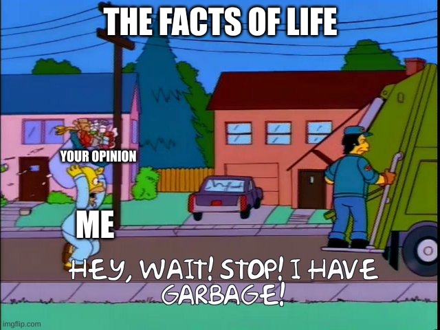 the facts of life | THE FACTS OF LIFE; YOUR OPINION; ME | image tagged in hey wait stop i have garbage,memes,funny | made w/ Imgflip meme maker