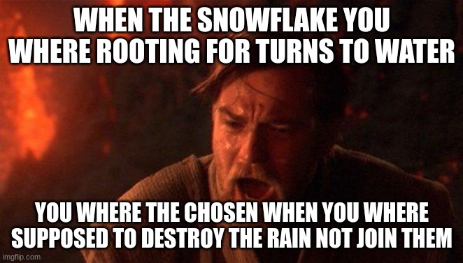 You Were The Chosen One (Star Wars) | WHEN THE SNOWFLAKE YOU WHERE ROOTING FOR TURNS TO WATER; YOU WHERE THE CHOSEN WHEN YOU WHERE SUPPOSED TO DESTROY THE RAIN NOT JOIN THEM | image tagged in memes,you were the chosen one star wars | made w/ Imgflip meme maker