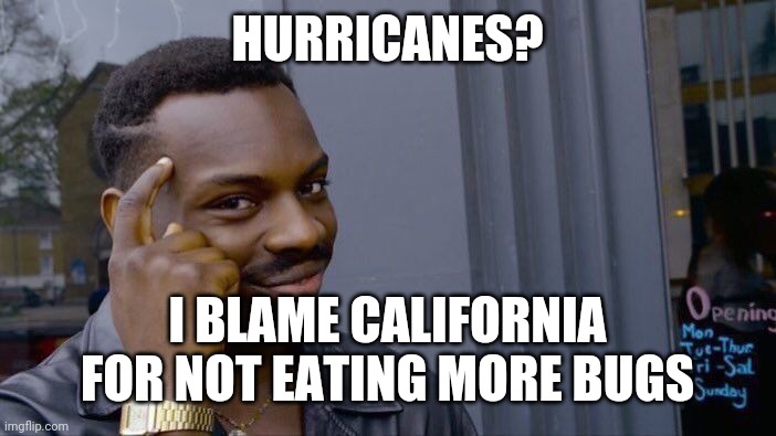 Eet ze bugs, change ze weathar! | HURRICANES? I BLAME CALIFORNIA FOR NOT EATING MORE BUGS | image tagged in memes,roll safe think about it | made w/ Imgflip meme maker
