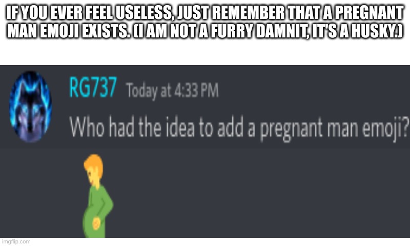 Wtf | IF YOU EVER FEEL USELESS, JUST REMEMBER THAT A PREGNANT MAN EMOJI EXISTS. (I AM NOT A FURRY DAMNIT, IT'S A HUSKY.) | image tagged in memes | made w/ Imgflip meme maker