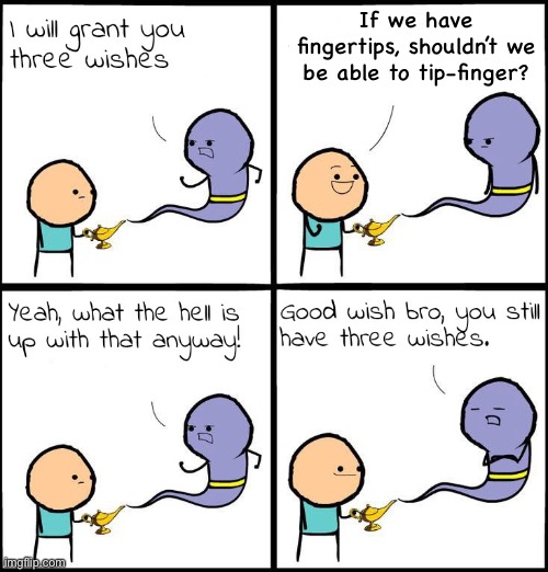 3 Wishes | If we have fingertips, shouldn’t we be able to tip-finger? | image tagged in 3 wishes | made w/ Imgflip meme maker