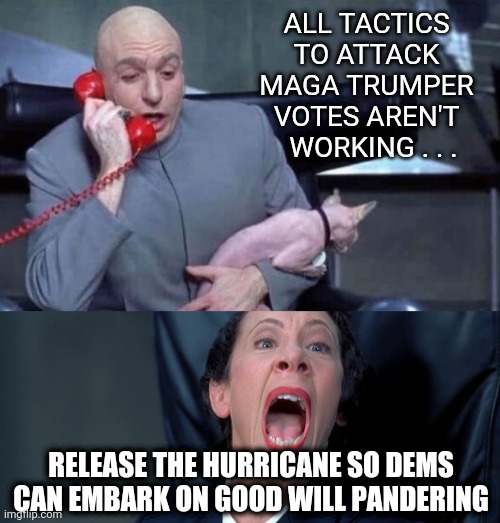 Perfect Timing | ALL TACTICS TO ATTACK MAGA TRUMPER VOTES AREN'T
  WORKING . . . RELEASE THE HURRICANE SO DEMS CAN EMBARK ON GOOD WILL PANDERING | image tagged in dr evil and frau,democrats,vote,midterms,liberals,leftists | made w/ Imgflip meme maker