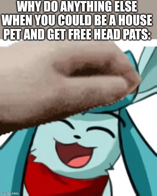 WHY DO ANYTHING ELSE WHEN YOU COULD BE A HOUSE PET AND GET FREE HEAD PATS: | made w/ Imgflip meme maker