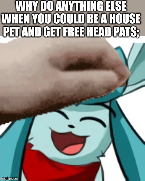 I'd be concerned if cinderace was a house pet | WHY DO ANYTHING ELSE WHEN YOU COULD BE A HOUSE PET AND GET FREE HEAD PATS; | made w/ Imgflip meme maker