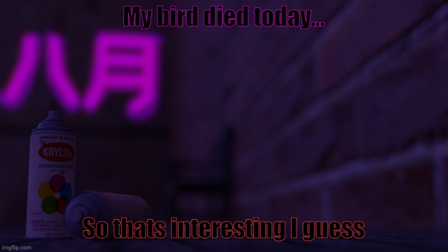 Her name was marissa | My bird died today... So thats interesting I guess | image tagged in 0cto 2,birds,die | made w/ Imgflip meme maker