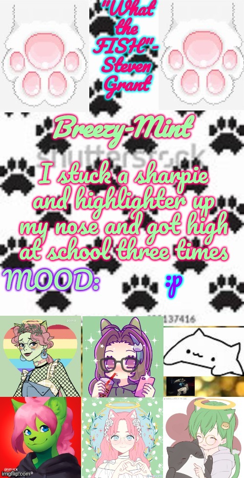 Breezy-Mint | I stuck a sharpie and highlighter up my nose and got high at school three times; :p | image tagged in breezy-mint | made w/ Imgflip meme maker