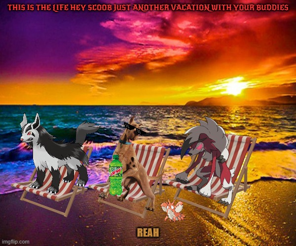 vacation time with scooby and his pals | THIS IS THE LIFE HEY SCOOB JUST ANOTHER VACATION WITH YOUR BUDDIES; REAH | image tagged in beautiful sunset,dogs,wolves,buddies | made w/ Imgflip meme maker