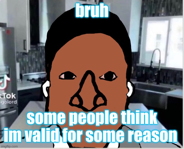 n | bruh; some people think im valid for some reason | image tagged in n | made w/ Imgflip meme maker