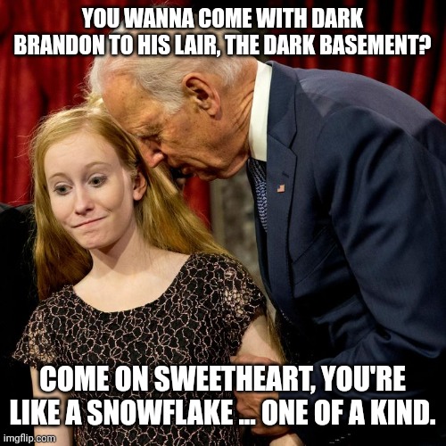 YOU WANNA COME WITH DARK BRANDON TO HIS LAIR, THE DARK BASEMENT? COME ON SWEETHEART, YOU'RE LIKE A SNOWFLAKE ... ONE OF A KIND. | made w/ Imgflip meme maker