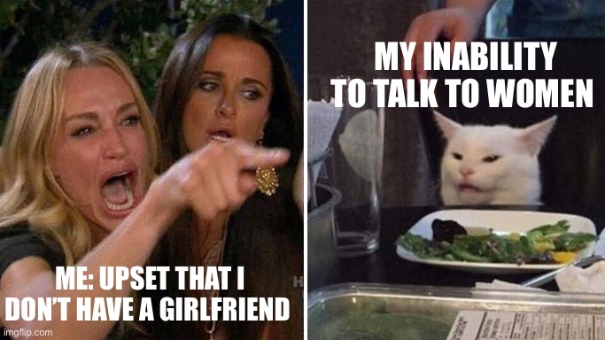 The Lady and The Cat |  MY INABILITY TO TALK TO WOMEN; ME: UPSET THAT I DON’T HAVE A GIRLFRIEND | image tagged in angry lady cat | made w/ Imgflip meme maker