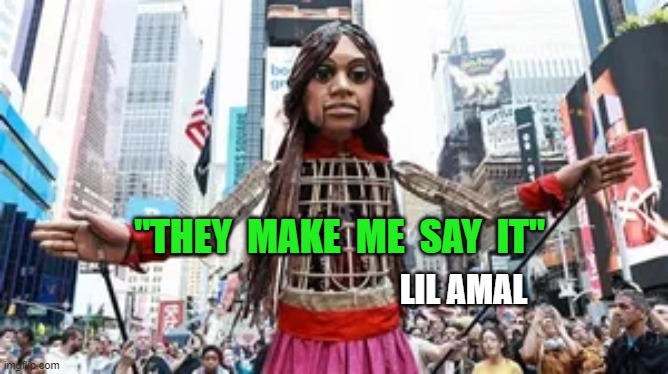 Lil Amal | "THEY  MAKE  ME  SAY  IT"; LIL AMAL | made w/ Imgflip meme maker