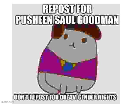 saul pusheen best | image tagged in pusheen,memes,funny,saul goodman,epic,repost | made w/ Imgflip meme maker