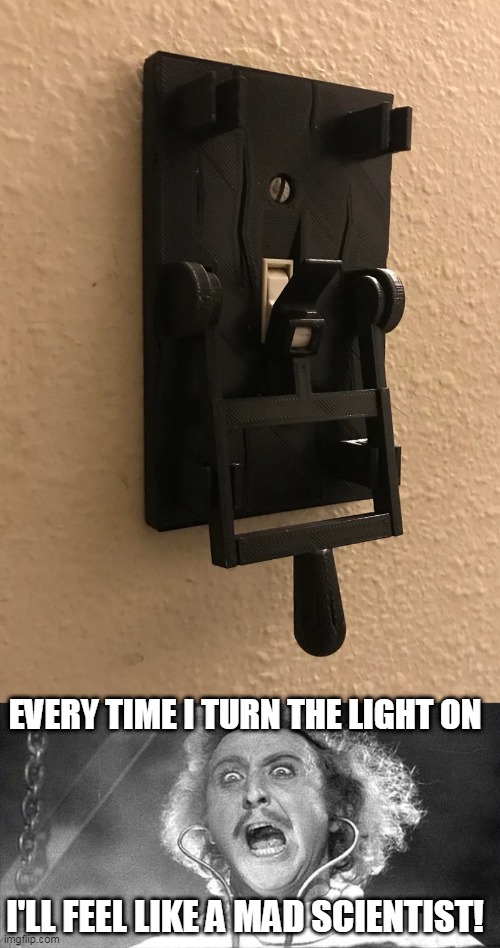 IT'S ALIVE! | EVERY TIME I TURN THE LIGHT ON; I'LL FEEL LIKE A MAD SCIENTIST! | image tagged in it's alive,switch,mad scientist | made w/ Imgflip meme maker