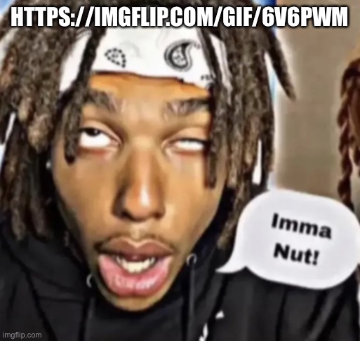 Imma Nut! | HTTPS://IMGFLIP.COM/GIF/6V6PWM | image tagged in imma nut | made w/ Imgflip meme maker