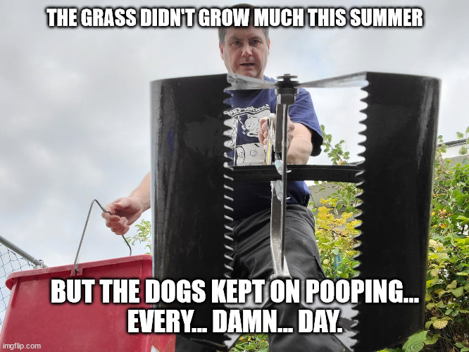 Poop Scoop | THE GRASS DIDN'T GROW MUCH THIS SUMMER; BUT THE DOGS KEPT ON POOPING...
EVERY... DAMN... DAY. | image tagged in dog poop,backyard,dogs | made w/ Imgflip meme maker