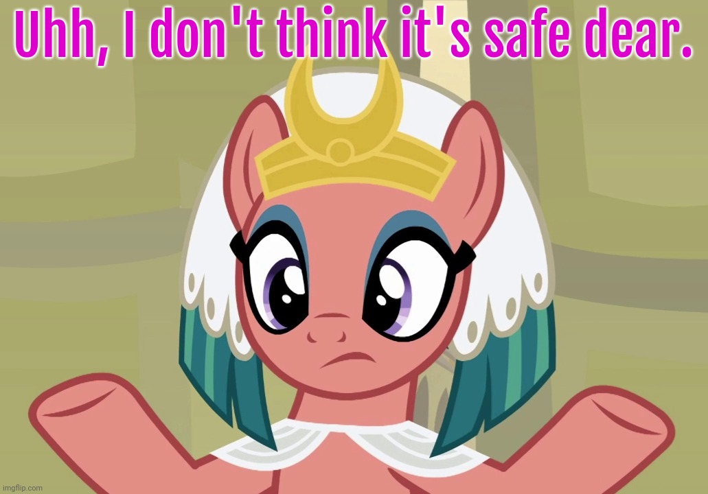 Concerned Somnambula (MLP) | Uhh, I don't think it's safe dear. | image tagged in concerned somnambula mlp | made w/ Imgflip meme maker