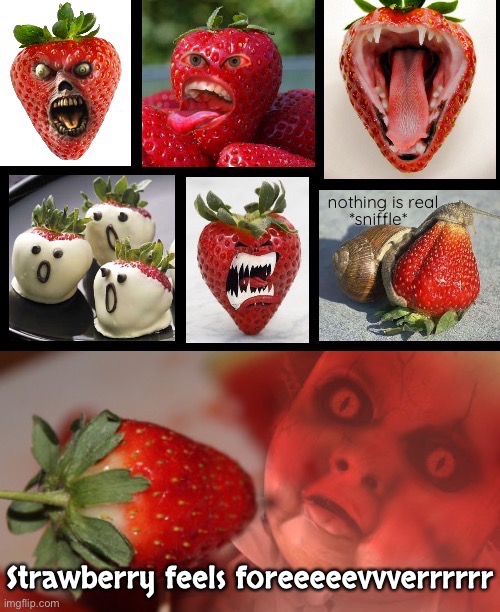 Beatlesjoke! Beatlesjoke! Beatlesjoke! | nothing is real; *sniffle* | image tagged in strawberry field forever,beatles lyrics,berry scary,bad joke,eyeroll | made w/ Imgflip meme maker