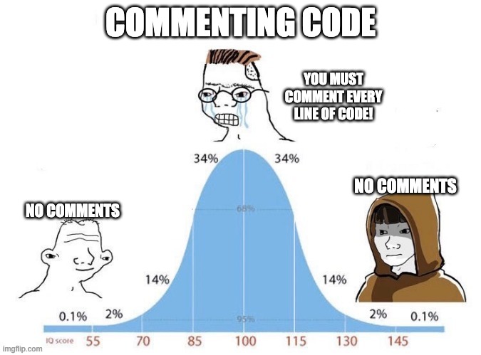 Bell Curve | COMMENTING CODE; YOU MUST COMMENT EVERY LINE OF CODE! NO COMMENTS; NO COMMENTS | image tagged in bell curve,ProgrammerHumor | made w/ Imgflip meme maker