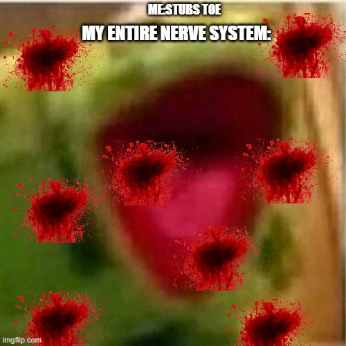 Dont get on My nerves (My Nerves) | ME:STUBS TOE; MY ENTIRE NERVE SYSTEM: | image tagged in ahhhhhhhhhhhhh | made w/ Imgflip meme maker