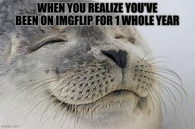 Dang, that was one year? | WHEN YOU REALIZE YOU'VE BEEN ON IMGFLIP FOR 1 WHOLE YEAR | image tagged in memes,satisfied seal,yessir,1 year,imgflip,satisfaction | made w/ Imgflip meme maker