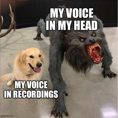 Does anybody else have this problem? | MY VOICE IN MY HEAD; MY VOICE IN RECORDINGS | image tagged in dog vs werewolf | made w/ Imgflip meme maker