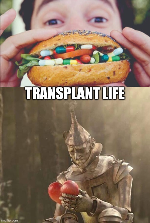 Transplant life | TRANSPLANT LIFE | image tagged in tin man heart,transplant,pills,burger | made w/ Imgflip meme maker