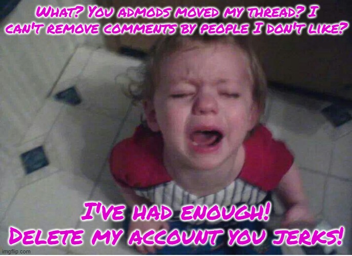 What? You admods moved my thread? I can't remove comments by people I don't like? I've had enough! Delete my account you jerks! | image tagged in crybaby | made w/ Imgflip meme maker