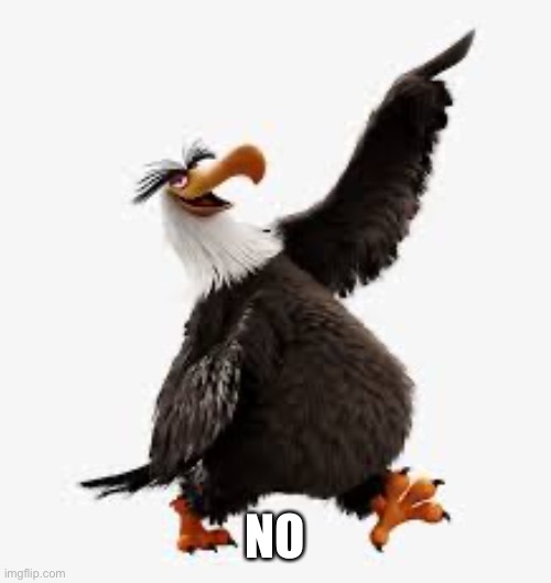 angry birds eagle | NO | image tagged in angry birds eagle | made w/ Imgflip meme maker