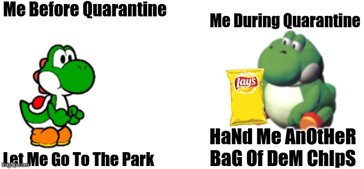 Why So True Tho |  Me Before Quarantine; Me During Quarantine; Let Me Go To The Park; HaNd Me AnOtHeR BaG Of DeM ChIpS | image tagged in yoshi vs big yoshi,quarantine,coronavirus,2020,so true memes,relatable | made w/ Imgflip meme maker