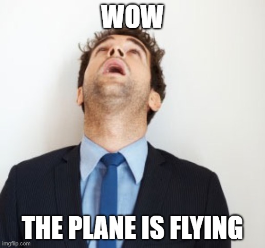 You have done this at least more than once before, right? | WOW; THE PLANE IS FLYING | image tagged in guy looking up | made w/ Imgflip meme maker