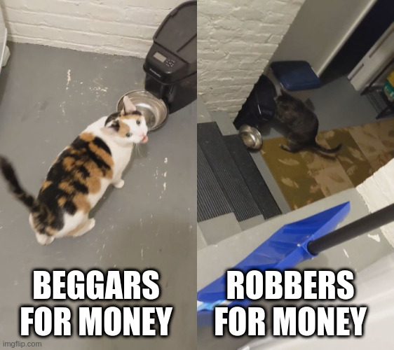Beggars for money vs robbers for money | ROBBERS FOR MONEY; BEGGARS FOR MONEY | image tagged in two cats wanting food from their feeders | made w/ Imgflip meme maker