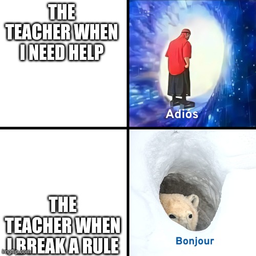 Adios Bonjour | THE TEACHER WHEN I NEED HELP; THE TEACHER WHEN I BREAK A RULE | image tagged in adios bonjour | made w/ Imgflip meme maker