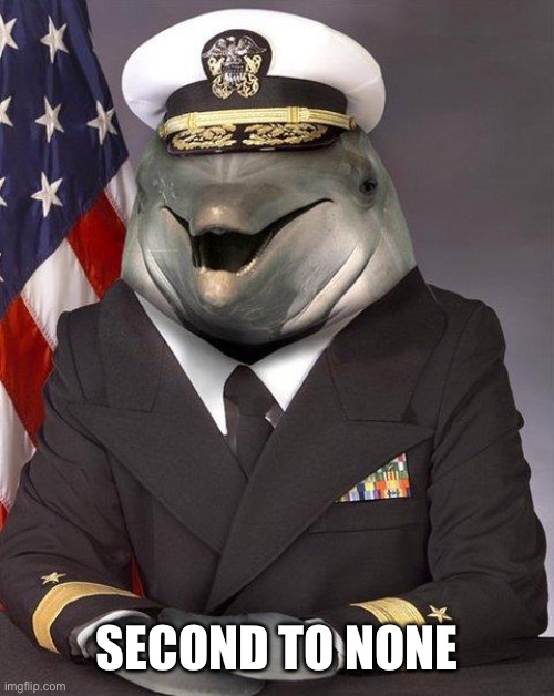 Dolphin | SECOND TO NONE | image tagged in dolphin | made w/ Imgflip meme maker