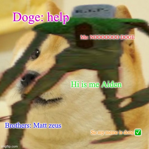 Doge meme ok | Doge: help; Me: NOOOOOOO DOGE; Hi is me Aiden; Brothers: Matt zeus; So my meme is done ✅ | image tagged in doge,siren head | made w/ Imgflip meme maker