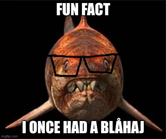 nerdunk | FUN FACT; I ONCE HAD A BLÅHAJ | made w/ Imgflip meme maker