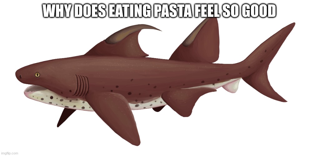 Dracopristis | WHY DOES EATING PASTA FEEL SO GOOD | image tagged in dracopristis | made w/ Imgflip meme maker