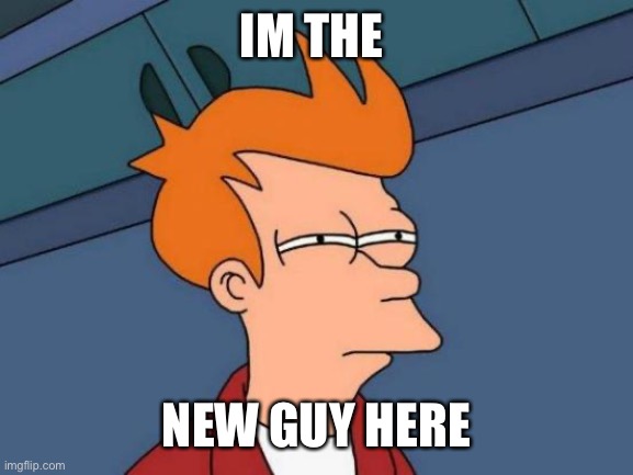 Futurama Fry | IM THE; NEW GUY HERE | image tagged in memes,futurama fry | made w/ Imgflip meme maker