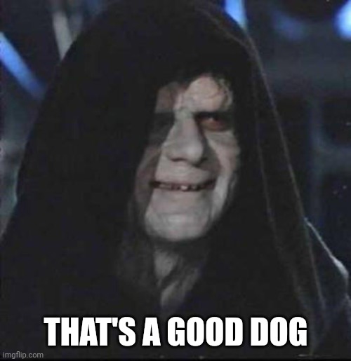 Sidious Error Meme | THAT'S A GOOD DOG | image tagged in memes,sidious error | made w/ Imgflip meme maker