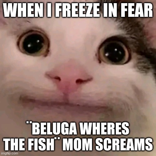 Beluga | WHEN I FREEZE IN FEAR; ¨BELUGA WHERES THE FISH¨ MOM SCREAMS | image tagged in beluga | made w/ Imgflip meme maker