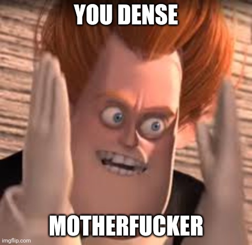 You dense | YOU DENSE MOTHERFUCKER | image tagged in you dense | made w/ Imgflip meme maker