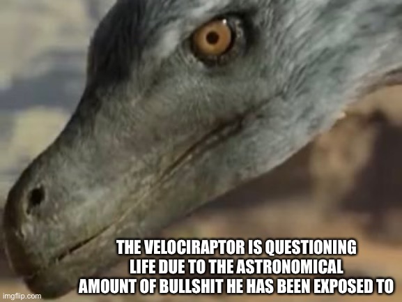 THE VELOCIRAPTOR IS QUESTIONING LIFE DUE TO THE ASTRONOMICAL AMOUNT OF BULLSHIT HE HAS BEEN EXPOSED TO | image tagged in dinosaurs | made w/ Imgflip meme maker