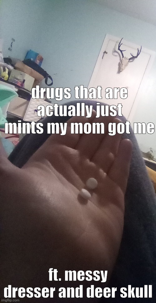 drugs that are actually just mints my mom got me; ft. messy dresser and deer skull | made w/ Imgflip meme maker