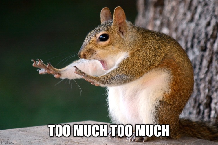 Whoa now Squirrel | TOO MUCH TOO MUCH | image tagged in whoa now squirrel | made w/ Imgflip meme maker