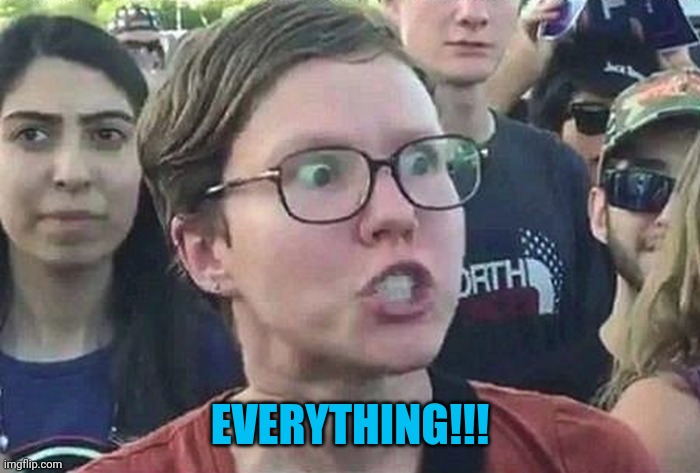 Triggered Liberal | EVERYTHING!!! | image tagged in triggered liberal | made w/ Imgflip meme maker