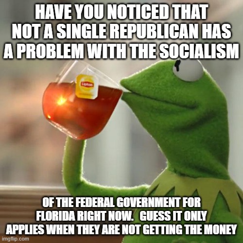 Florida Hurricane Socialism | HAVE YOU NOTICED THAT NOT A SINGLE REPUBLICAN HAS A PROBLEM WITH THE SOCIALISM; OF THE FEDERAL GOVERNMENT FOR FLORIDA RIGHT NOW.   GUESS IT ONLY APPLIES WHEN THEY ARE NOT GETTING THE MONEY | image tagged in memes,but that's none of my business,kermit the frog,socialism | made w/ Imgflip meme maker