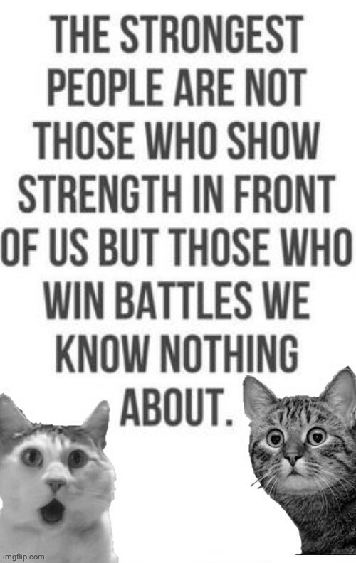 Strongest people | image tagged in raycat | made w/ Imgflip meme maker